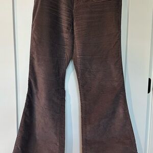 LONDONJEAN Rich Plum Flare Jean/Pant 4 Extra Long, The Christie Fit